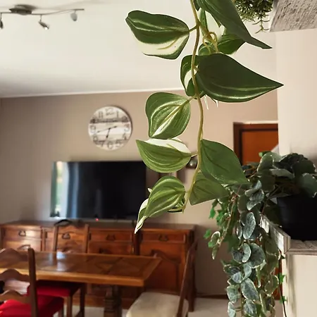 Hotel Claudia Ronchi Dei Legionari